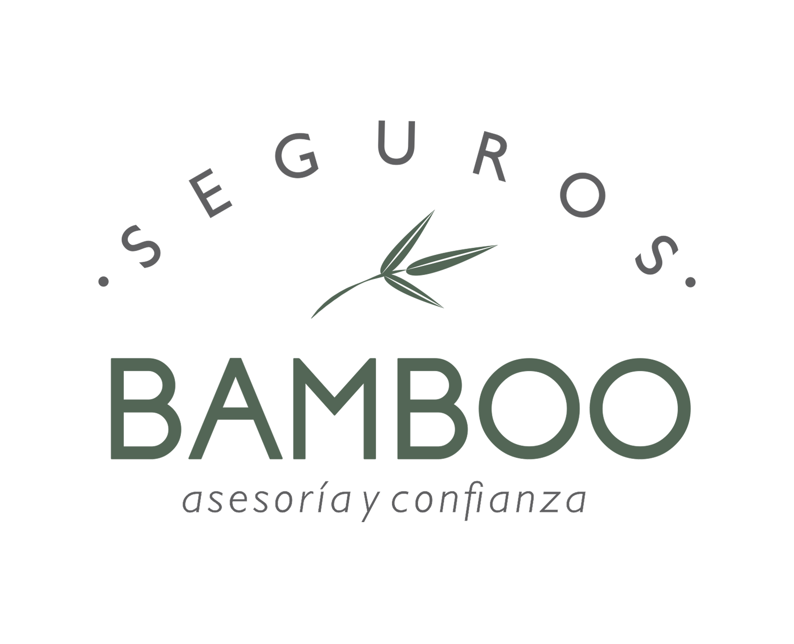 Bamboo Seguros